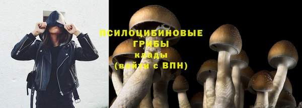 ALPHA-PVP Нефтекумск