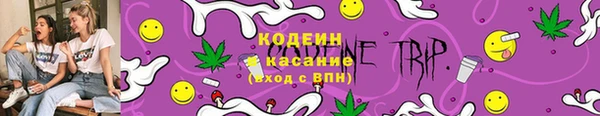 индика Гусиноозёрск