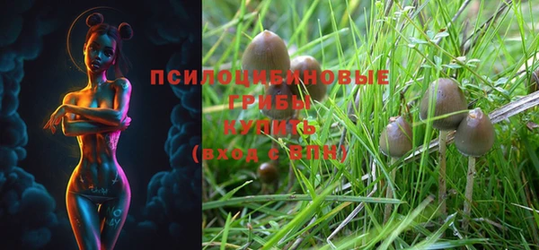 ешки Ивантеевка