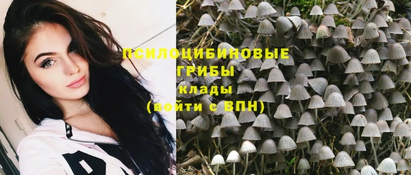 дмт Зуевка